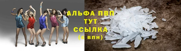 твердый Сосновый Бор