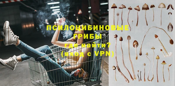 spice Няндома