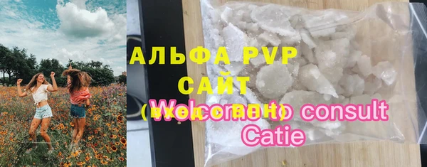 твердый Сосновый Бор